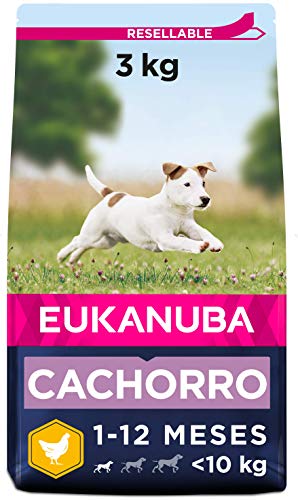 Eukanuba Alimento seco para cachorros de raza pequeña, rico en pollo fresco 3...