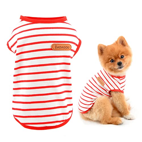 La Guía Definitiva de Ropa para tu Mini Pinscher: Estilo y Confort