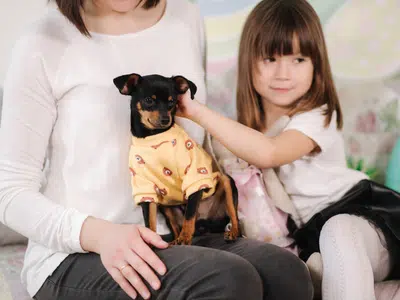 mini-pinscher-y-ni-os-la-combinaci-n-perfecta-de-mascotas-y-familia